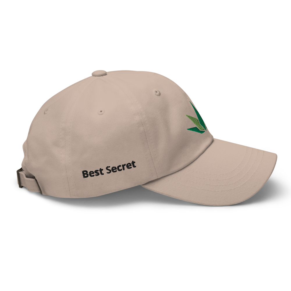Best Secret Hat