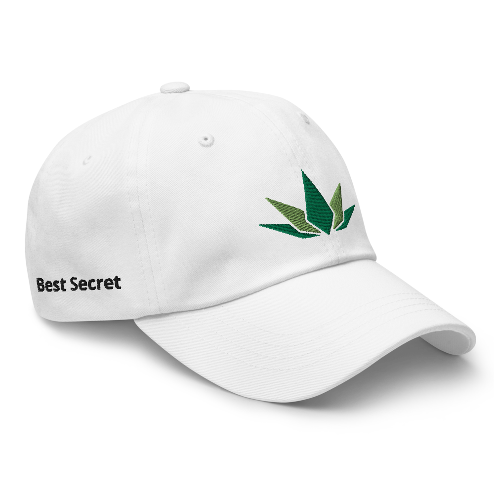 Best Secret Hat